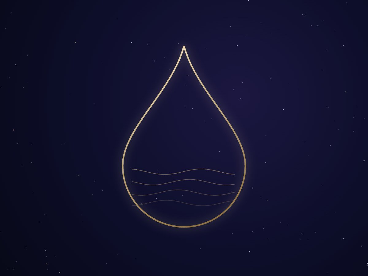How Much of Your Body Is Water? The Answer Changes From Organ to Organ